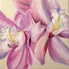 'Orchids' - Oil on Canvas